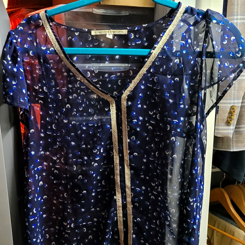 Collective Concepts sheer top